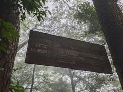 -东天目山风景区