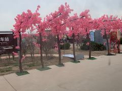 -南大港湿地风景区