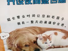 -纳吉亚猫专科动物医院博雅分院