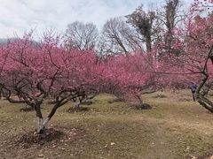 -采石矶景区