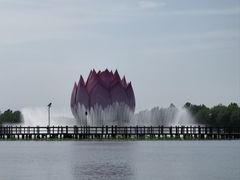 -白洋淀风景区