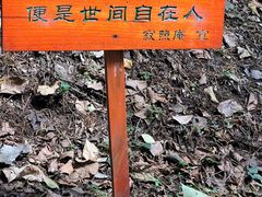 -寂照庵