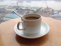 -上海浦东滨江喜来登酒店