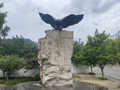 -北京鹫峰国家森林公园