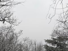 -紫金山山顶公园
