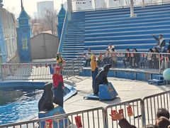 -华夏文旅海洋公园