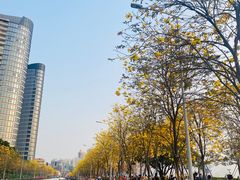 -洲头咀公园