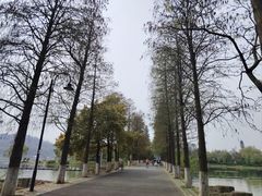 -东湖生态旅游风景区