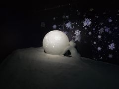-海合安武汉极地海洋公园