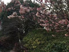 -张江润和国际总部园