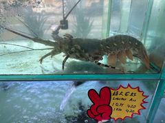 -量贩海鲜餐厅