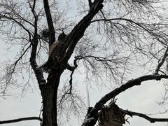 -北京西山国家森林公园