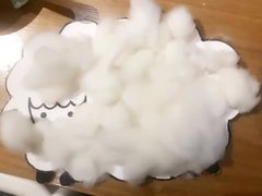 -澳洲袋鼠早教(南二环店)