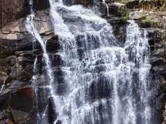 -海南热带雨林国家公园吊罗山景区