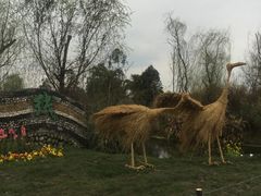 -桤木河湿地公园