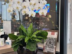 -Z&B Fitness Studio·Gym(前滩L+PLAZA店)