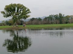-良渚古城遗址公园