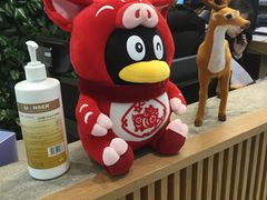 -中间带医疗(成都旗舰店)