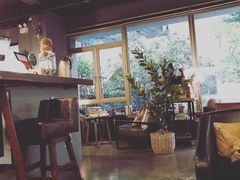 -咖法森林·咖啡  酒吧(天河店)