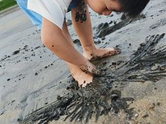 -台山黑沙湾海浴场
