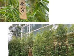 -天水蔬食料理(树德之光店)