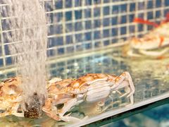-庆余生平价生猛海鲜(海棠湾林旺夜市店)