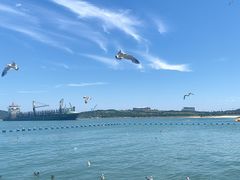 -海驴岛(荣成市)