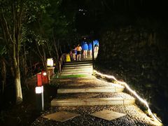-宜春明月山维景国际温泉度假酒店