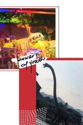 -恐龙探索乐园(磁器口店)