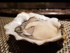 -Oyster Talks 四度蚝法餐厅