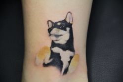 -MDZ STORE·TATTOO·耳饰