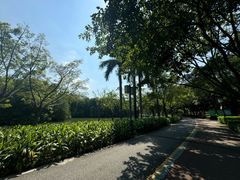 -顺峰山公园