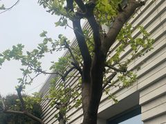 -苏州丝绸博物馆