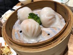 虾饺皇-胜记凯心茶餐厅(汇金财富广场店)