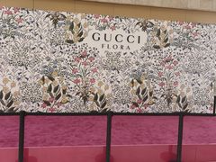 -GUCCI(南京德基店)