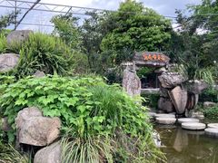 -乐氏荤豆花