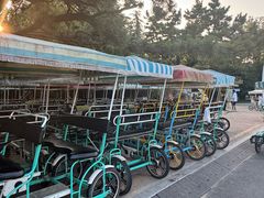 -日照海滨国家森林公园
