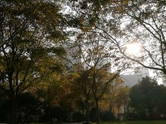 -陆家嘴中心绿地
