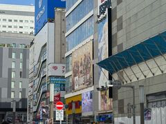-秋叶原电器街