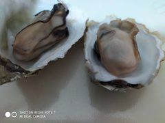 -海帮主·蒸汽海鲜青岛菜(栈桥火车站店)