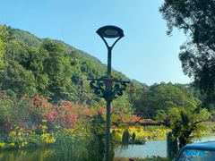 -深圳仙湖植物园