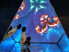 -天津梵高星空艺术馆(天河城旗舰店)