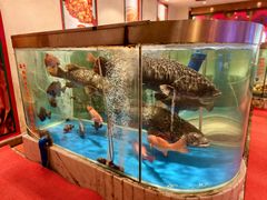 -惠食佳(滨江大公馆店)