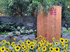 -田园印象·成都土菜院子(华阳店)