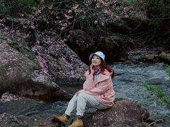 -浙西天池景区