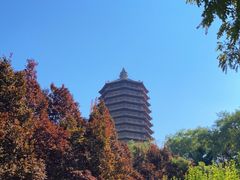 -玲珑塔公园