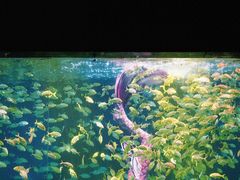 -海合安青岛极地海洋公园