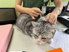 -瑞鹏宠物医院犬猫全科(真大分院)