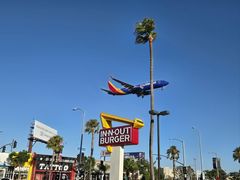 -In-N-Out Burger(LAX)