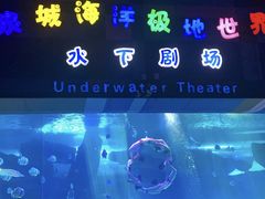 -泉城欧乐堡海洋极地世界
